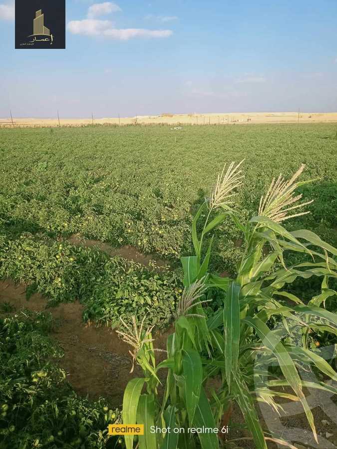 https://aqarmap.com.eg/ar/listing/4365970-for-sale-el-fayoum-mntq-fr-y-blfywm
