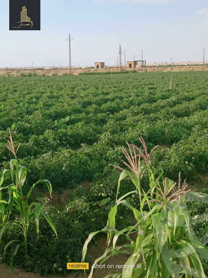 https://aqarmap.com.eg/ar/listing/4365970-for-sale-el-fayoum-mntq-fr-y-blfywm