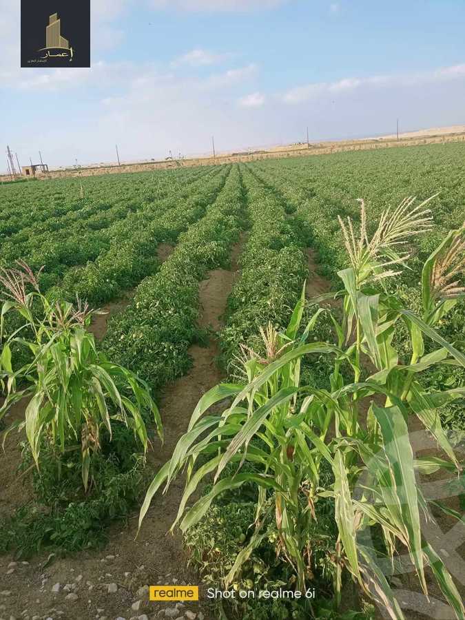 https://aqarmap.com.eg/ar/listing/4365970-for-sale-el-fayoum-mntq-fr-y-blfywm