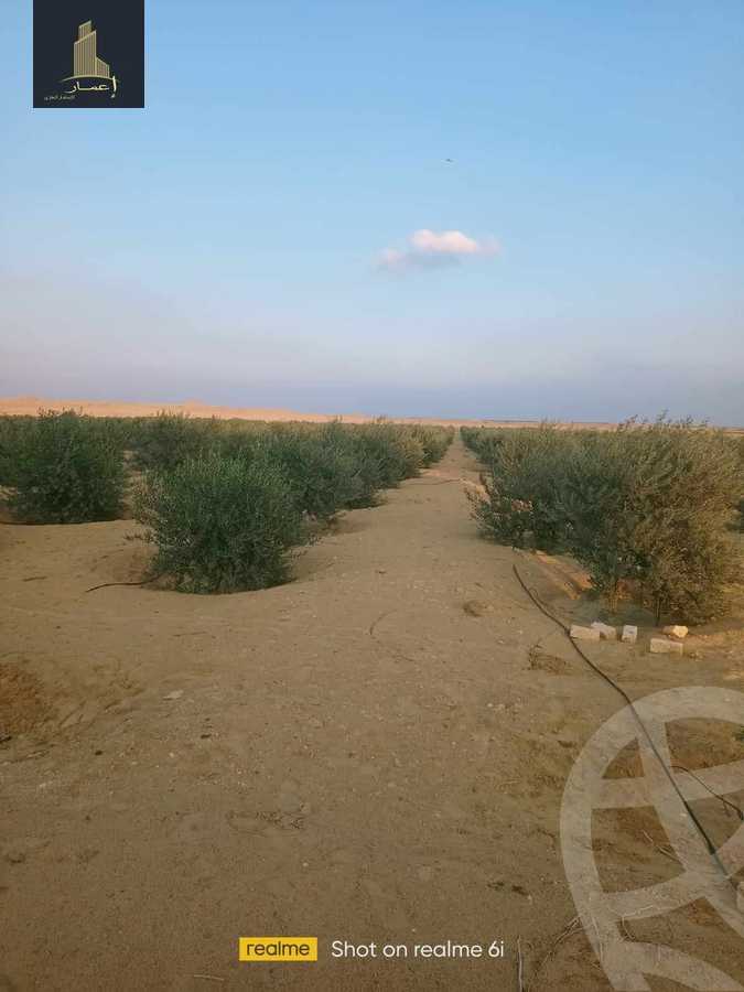 https://aqarmap.com.eg/ar/listing/4365970-for-sale-el-fayoum-mntq-fr-y-blfywm