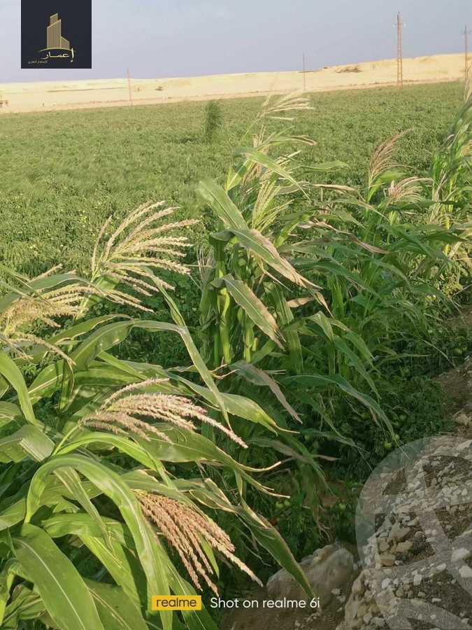 https://aqarmap.com.eg/ar/listing/4365970-for-sale-el-fayoum-mntq-fr-y-blfywm
