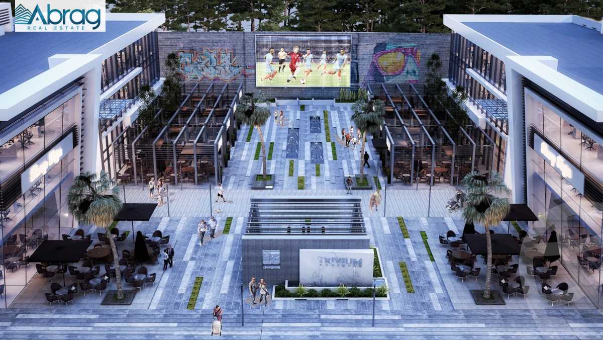 https://aqarmap.com.eg/en/listing/4293819-for-rent-cairo-el-sheikh-zayed-city-compounds-tryfywm-zyd-nm-llttwyr