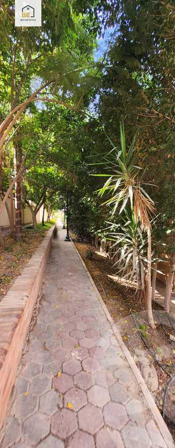 https://aqarmap.com.eg/en/listing/3901377-for-rent-cairo-new-cairo-compounds-tiba