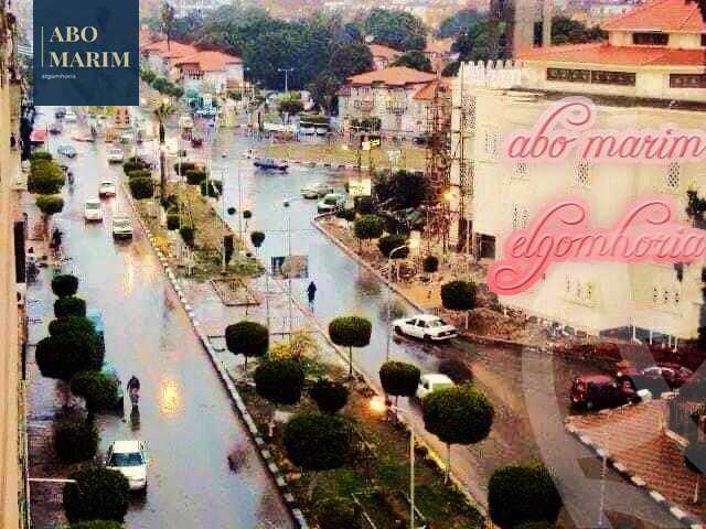 https://aqarmap.com.eg/en/listing/6001833-for-rent-port-said-bwr-fwd