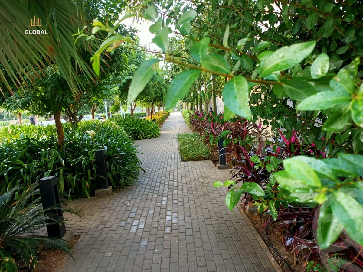 https://aqarmap.com.eg/en/listing/4293573-for-rent-cairo-new-cairo-compounds-lake-view