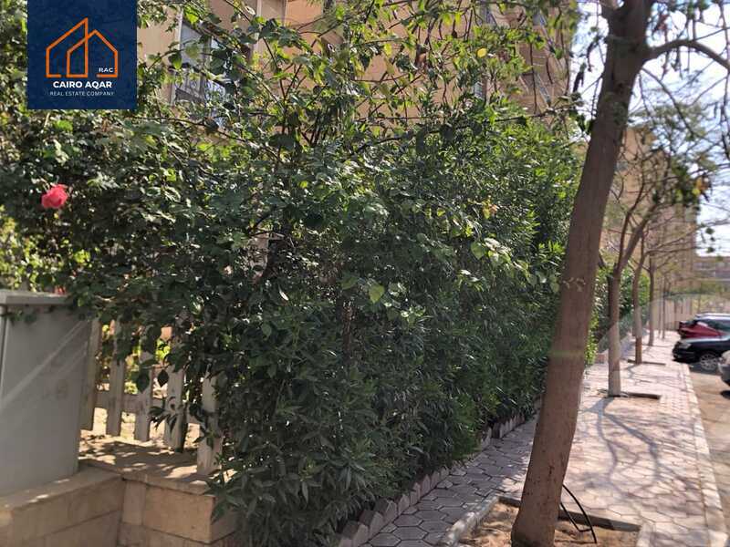 https://aqarmap.com.eg/en/listing/4572976-for-rent-cairo-new-cairo-lrhb-city-phase-7