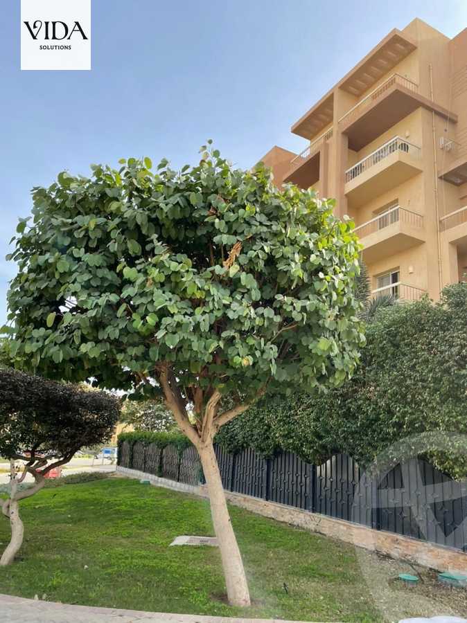 https://aqarmap.com.eg/en/listing/5400546-for-sale-cairo-6th-of-october-hadaeq-october-kmbwnd-fy-hdyq-ktwbr-shjr-ryzydns-y-jy-y-llttwyr