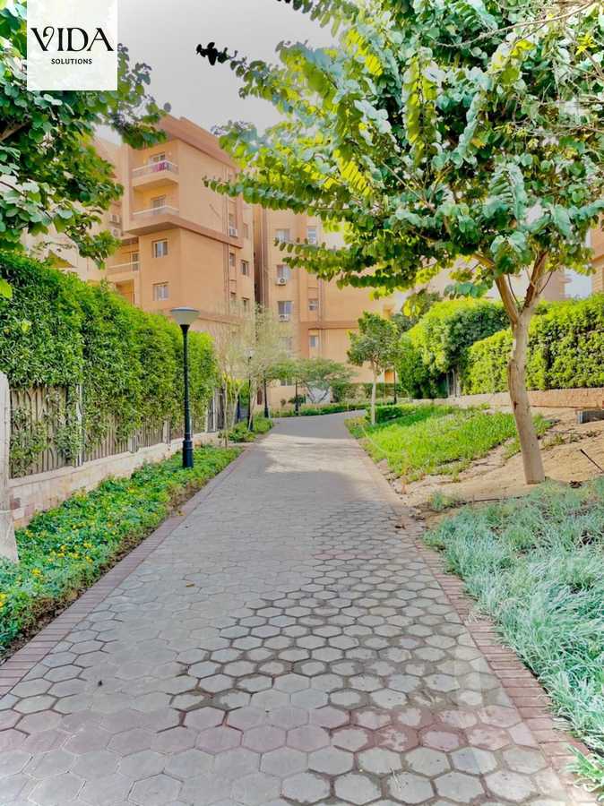 https://aqarmap.com.eg/en/listing/5571458-for-sale-cairo-6th-of-october-hadaeq-october-kmbwnd-fy-hdyq-ktwbr-shjr-ryzydns-y-jy-y-llttwyr