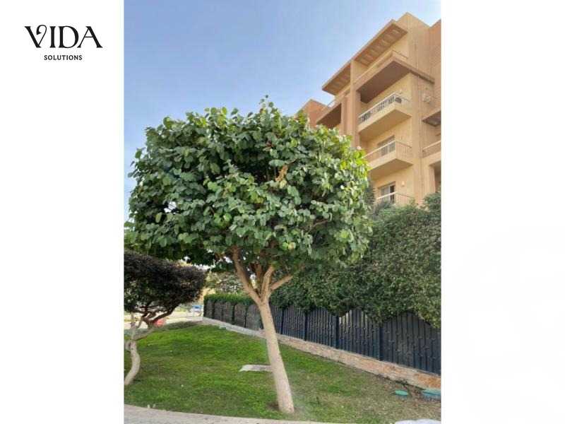 https://aqarmap.com.eg/en/listing/5804980-for-sale-cairo-6th-of-october-hadaeq-october-kmbwnd-fy-hdyq-ktwbr-ashgar-city