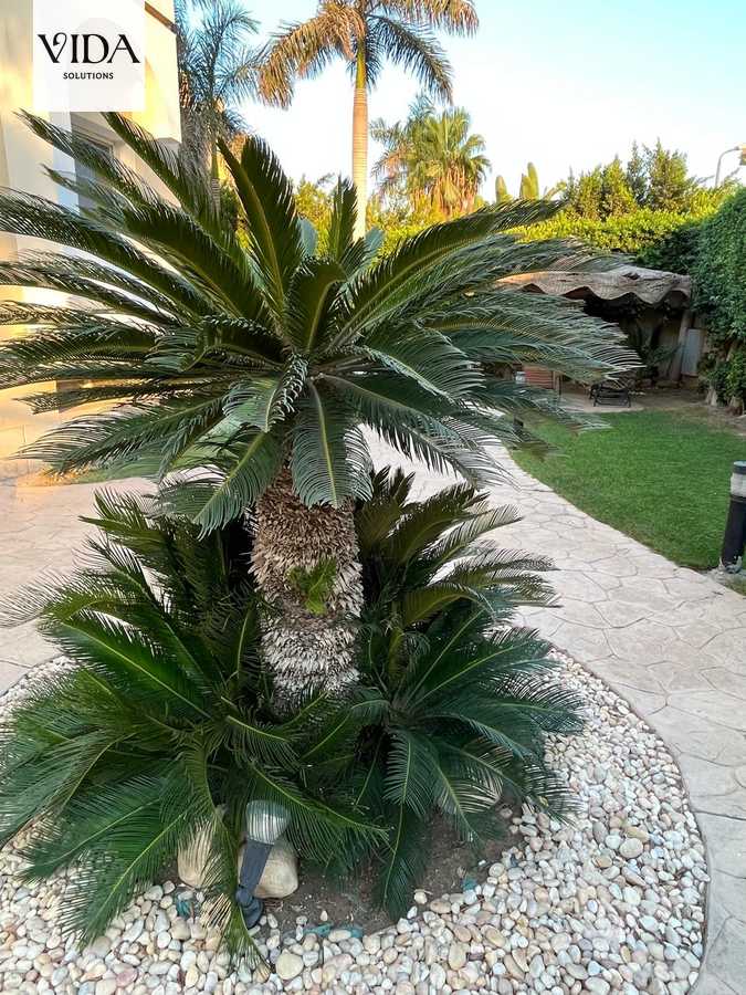 https://aqarmap.com.eg/ar/listing/5839162-for-sale-cairo-6th-of-october-compounds-mena-garden-city