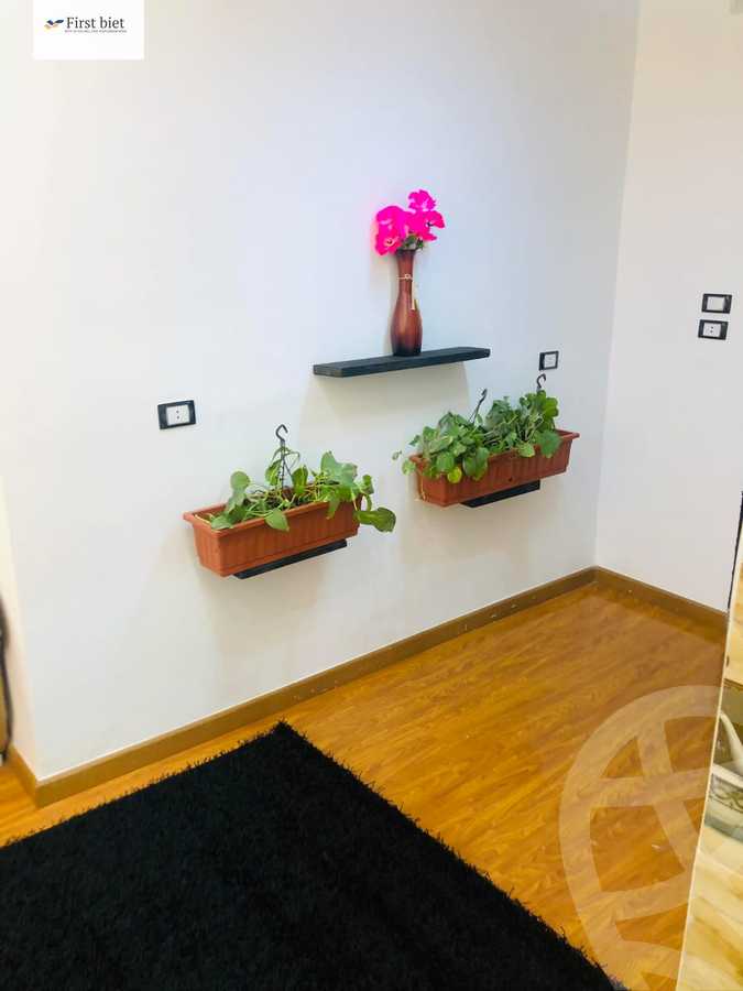 https://aqarmap.com.eg/en/listing/5877807-for-rent-cairo-al-zamalek-shr-ljzyr-lwsty-ywsf-kml