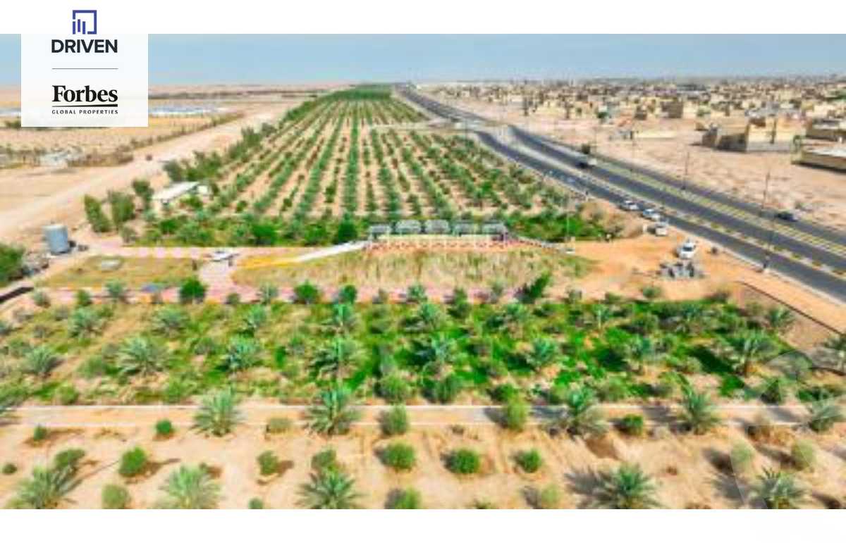 https://aqarmap.com.eg/en/listing/5326820-for-sale-cairo-6th-of-october-green-belt-wadi-el-nile