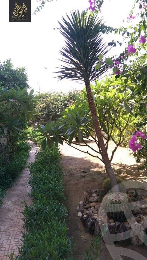 https://aqarmap.com.eg/en/listing/6033135-for-sale-cairo-al-oubour-el-hay-el-sabaa-aziz-el-masry-st