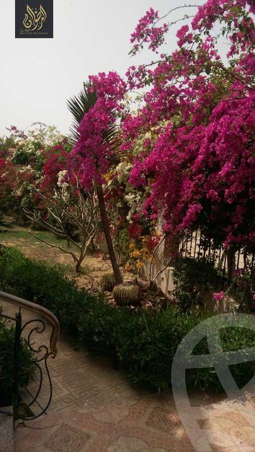 https://aqarmap.com.eg/en/listing/6033135-for-sale-cairo-al-oubour-el-hay-el-sabaa-aziz-el-masry-st