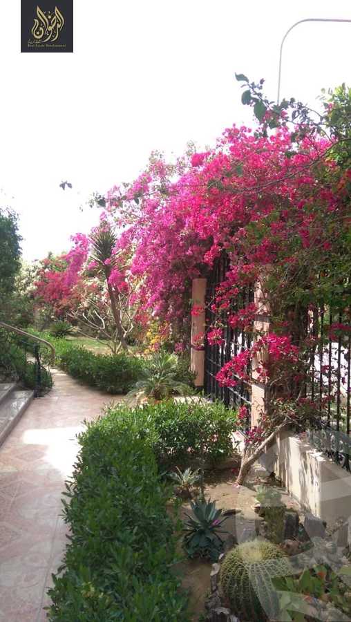 https://aqarmap.com.eg/en/listing/6033702-for-sale-cairo-al-oubour-el-hay-el-sabaa-aziz-el-masry-st