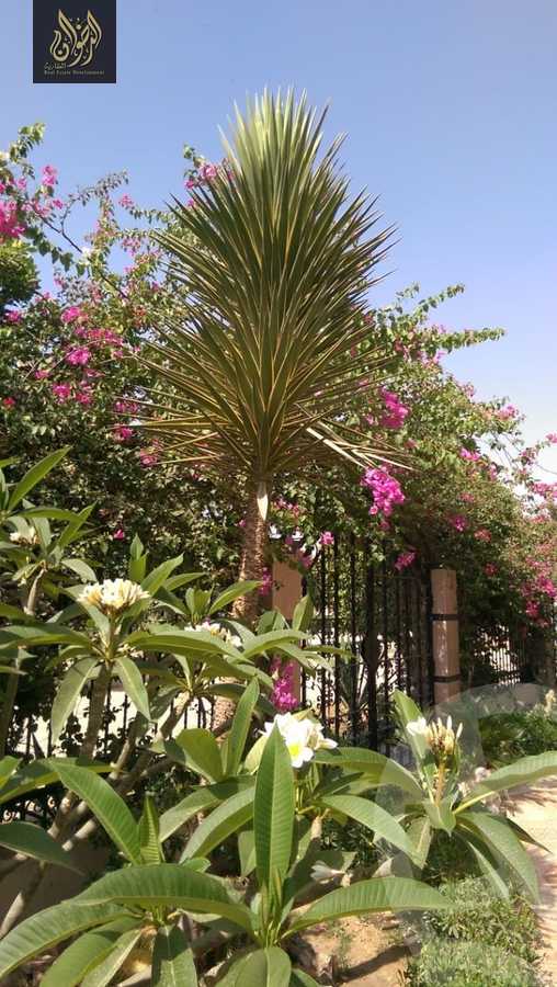 https://aqarmap.com.eg/en/listing/6033702-for-sale-cairo-al-oubour-el-hay-el-sabaa-aziz-el-masry-st