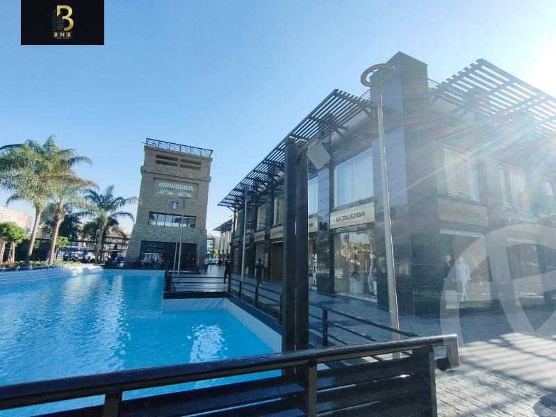 https://aqarmap.com.eg/en/listing/6020938-for-rent-cairo-new-cairo-dwn-twn