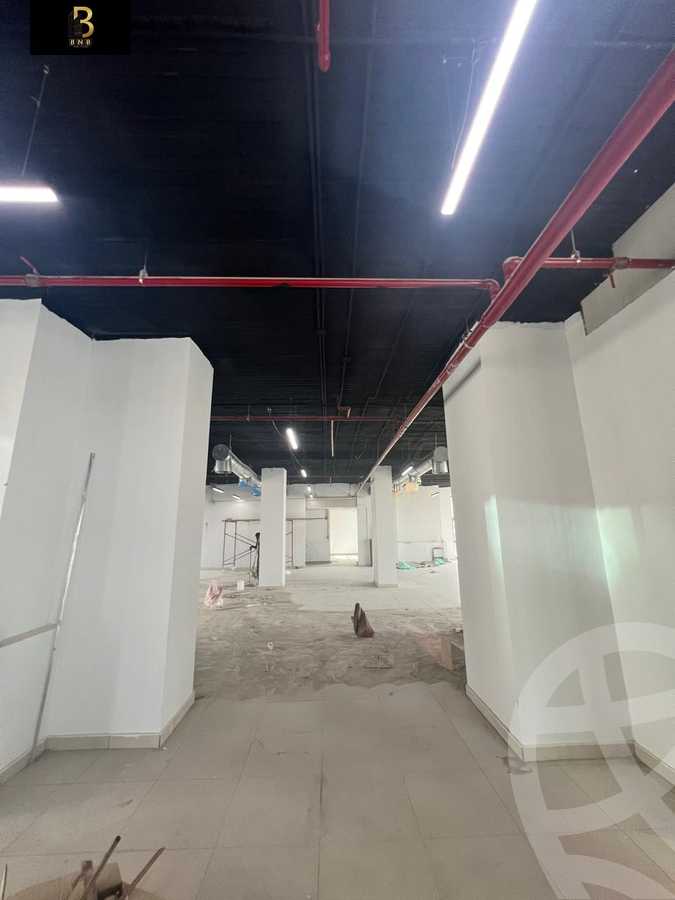 https://aqarmap.com.eg/en/listing/6254145-for-rent-cairo-new-cairo-mohammed-nagib-axis-st