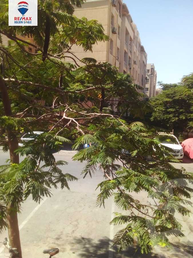 https://aqarmap.com.eg/ar/listing/5329297-for-rent-cairo-new-cairo-madinaty-seventh-zone-buildings-mdynty-by-7