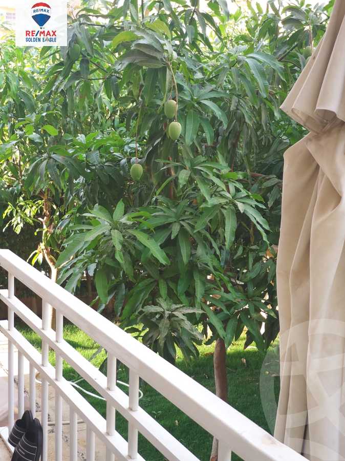 https://aqarmap.com.eg/en/listing/5842719-for-rent-cairo-new-cairo-madinaty-eleventh-zone-buildings-group-114
