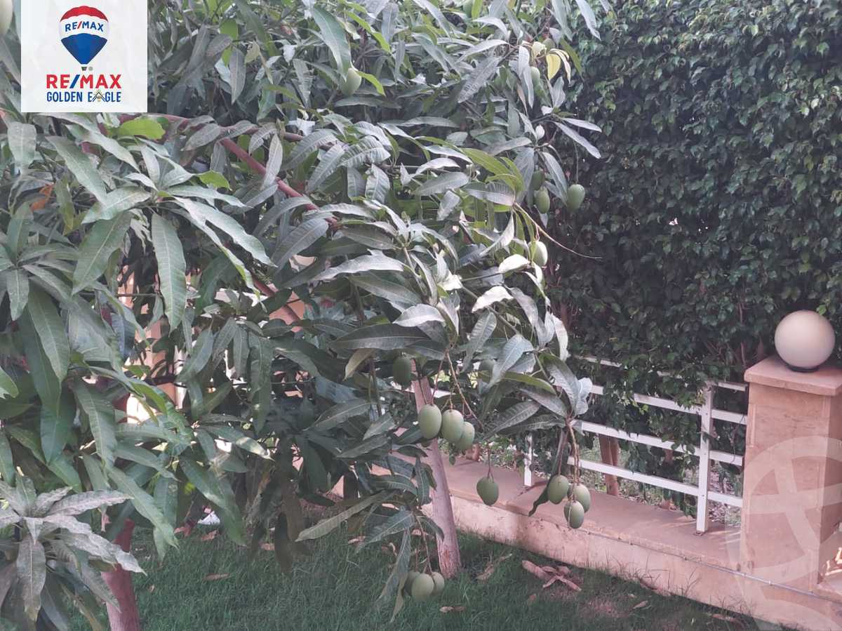 https://aqarmap.com.eg/en/listing/5842719-for-rent-cairo-new-cairo-madinaty-eleventh-zone-buildings-group-114