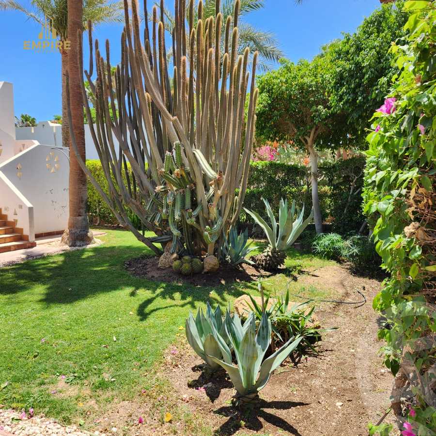 https://aqarmap.com.eg/en/listing/5393997-for-sale-sharm-el-sheikh-resorts-domina-coral-bay-oasis