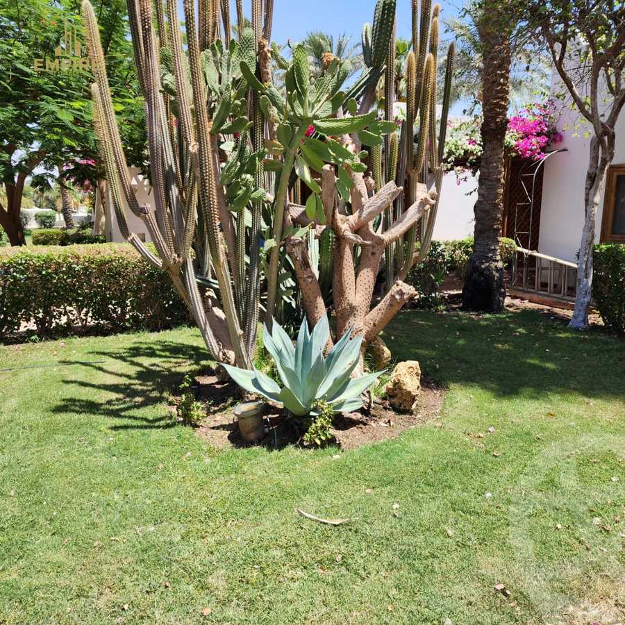 https://aqarmap.com.eg/en/listing/5381796-for-sale-sharm-el-sheikh-resorts-domina-coral-bay-oasis
