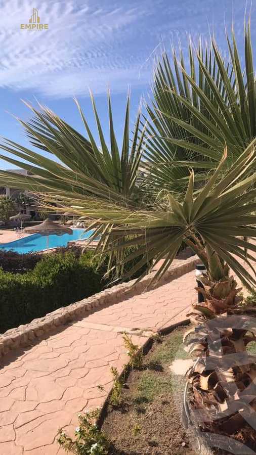 https://aqarmap.com.eg/en/listing/5416043-for-sale-sharm-el-sheikh-resorts-sunny-beach-resort-sunny-group