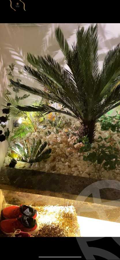 https://aqarmap.com.eg/ar/listing/5425671-for-sale-cairo-new-cairo-compounds-blm-hylz-nyw-kyrw