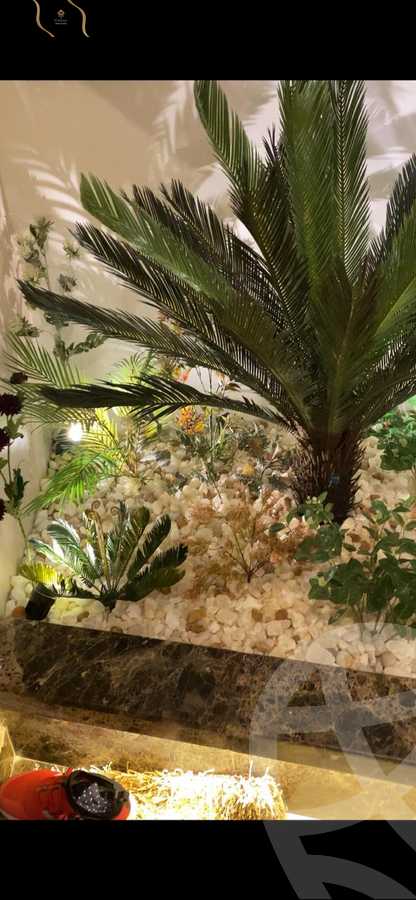 https://aqarmap.com.eg/ar/listing/5425671-for-sale-cairo-new-cairo-compounds-blm-hylz-nyw-kyrw