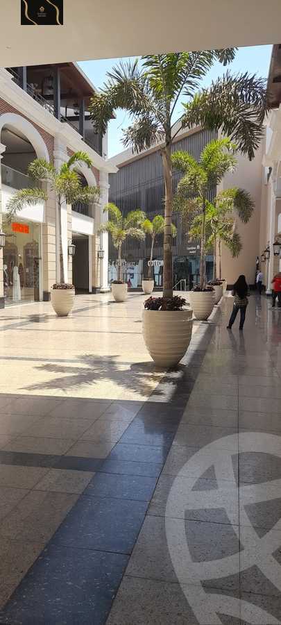 https://aqarmap.com.eg/en/listing/5947223-for-rent-cairo-new-cairo-madinaty
