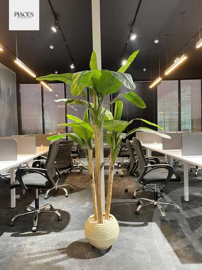 https://aqarmap.com.eg/en/listing/5360254-for-rent-cairo-new-cairo-90th-street-south-teseen-st