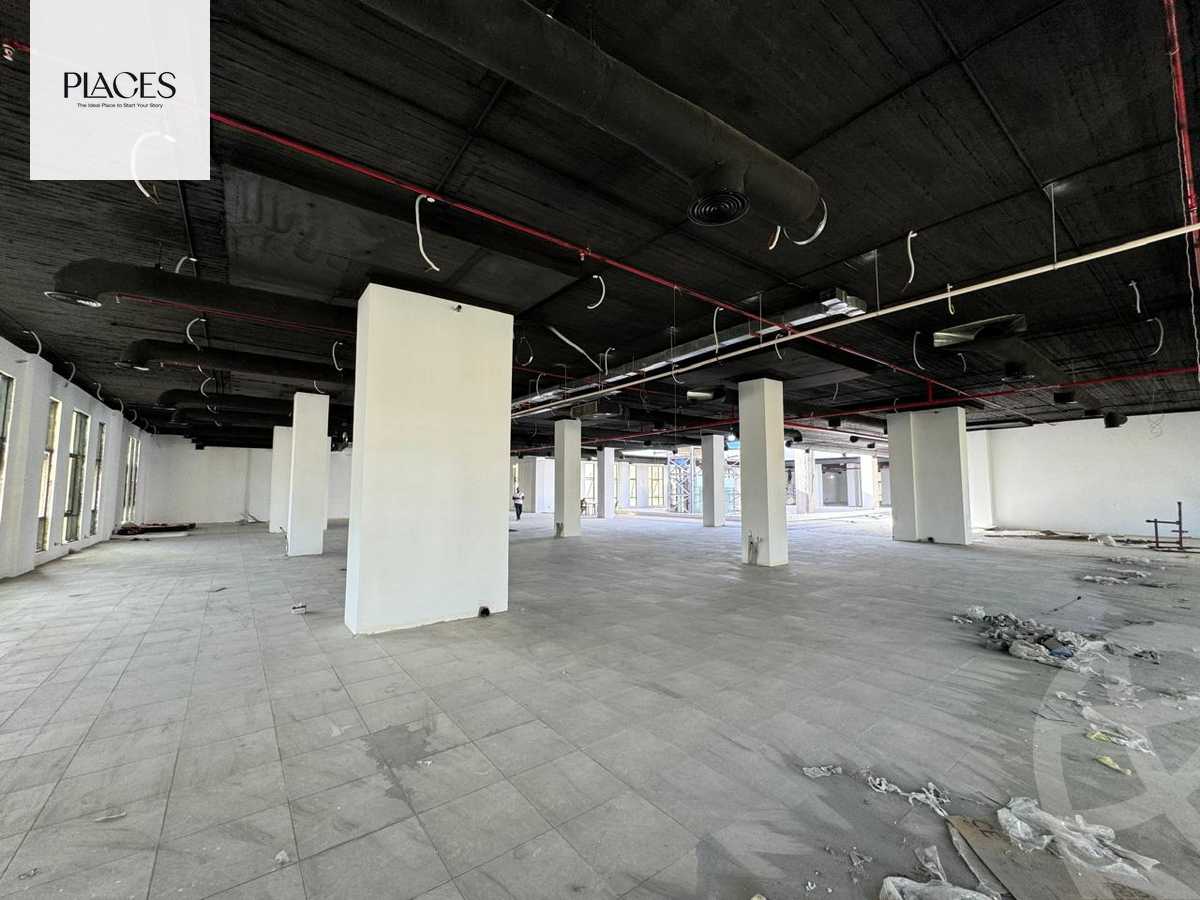 https://aqarmap.com.eg/en/listing/5379836-for-rent-cairo-new-cairo-90th-street-northern-90th-street