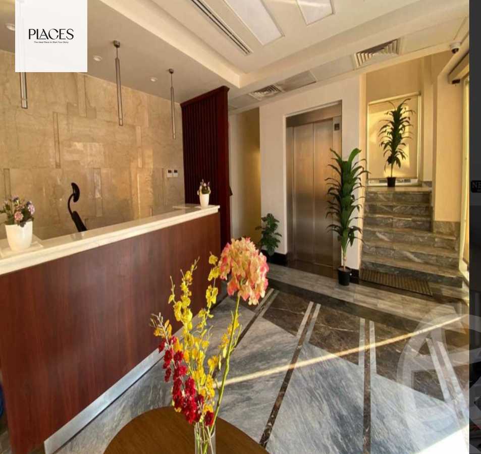 https://aqarmap.com.eg/en/listing/5853933-for-rent-cairo-new-cairo-90th-street-south-teseen-st