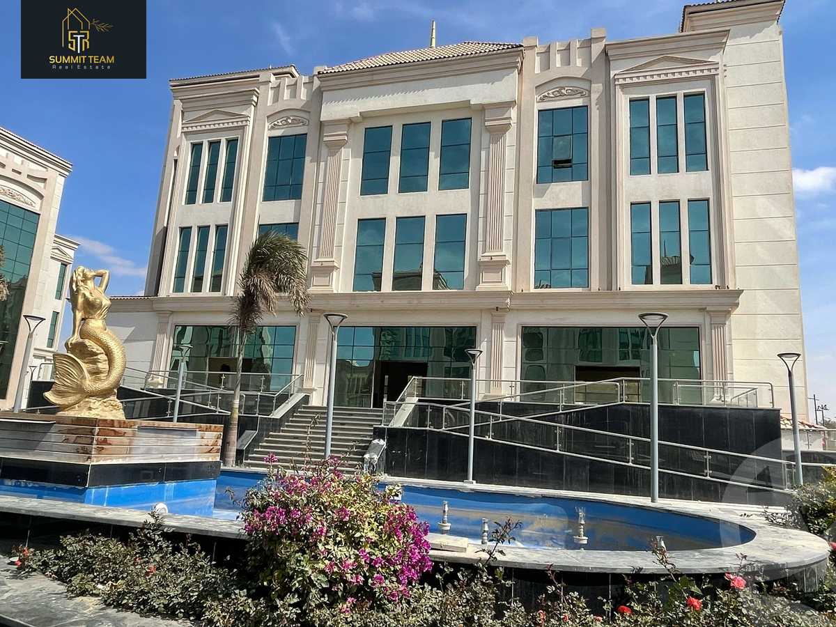 https://aqarmap.com.eg/en/listing/5983327-for-rent-cairo-new-cairo-lrhb-city-mtdd-lrhb-doctor-ali-ibrahim-st