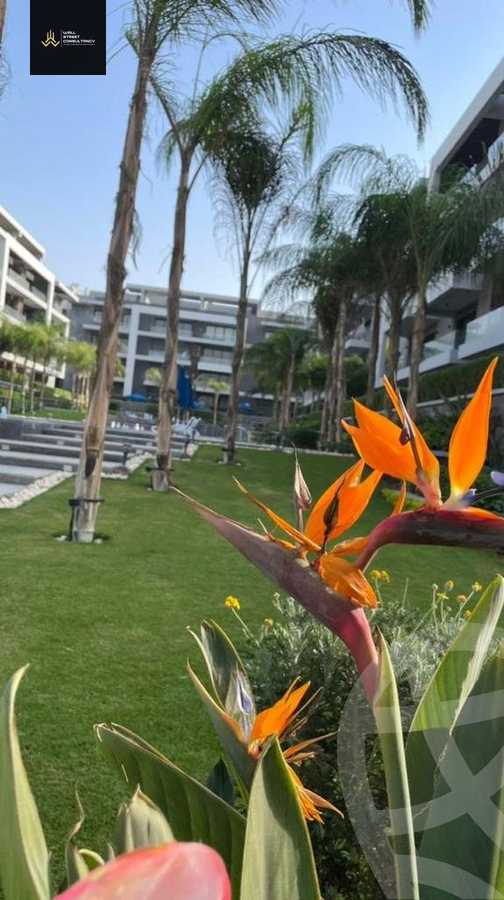 https://aqarmap.com.eg/en/listing/5516484-for-sale-cairo-new-cairo-compounds-el-patio-oro