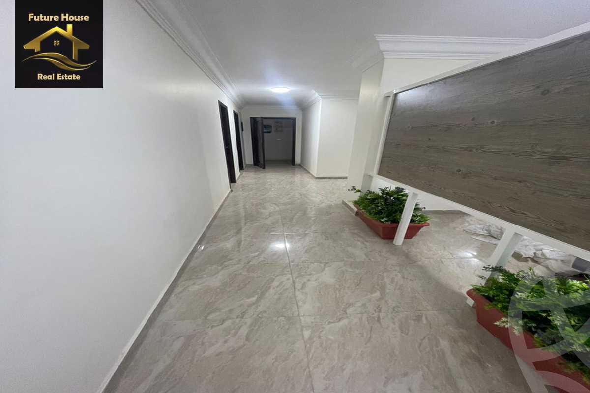 https://aqarmap.com.eg/en/listing/5801847-for-rent-cairo-el-maadi-compounds-rayhanah-plaza