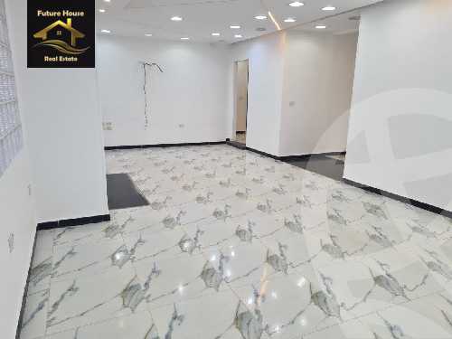 https://aqarmap.com.eg/en/listing/5828040-for-rent-cairo-el-maadi-sarayat-el-maadi-street-20