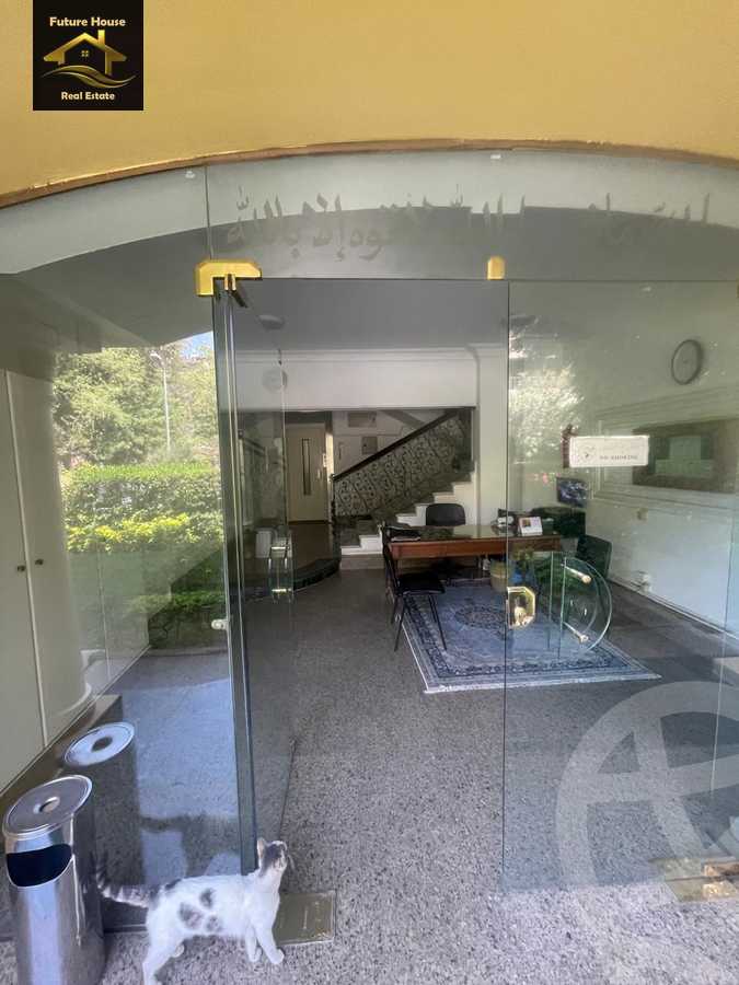 https://aqarmap.com.eg/en/listing/5866936-for-rent-cairo-el-maadi-el-maadi-el-gededa-el-lasilki