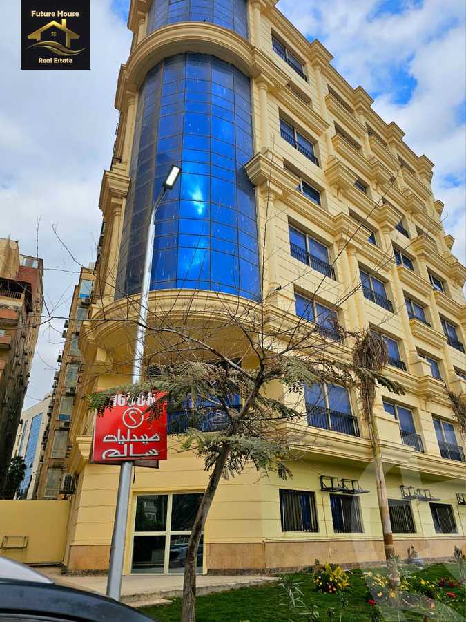 https://aqarmap.com.eg/en/listing/6087421-for-rent-cairo-el-maadi-el-maadi-el-gededa-el-lasilki