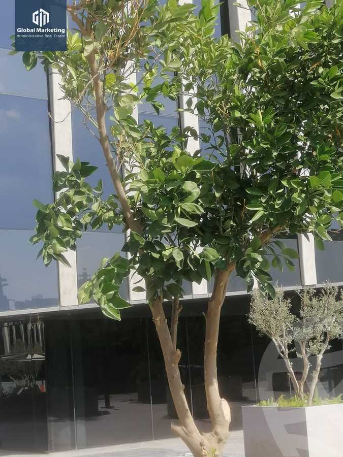 https://aqarmap.com.eg/en/listing/4248173-for-sale-eastown-parks