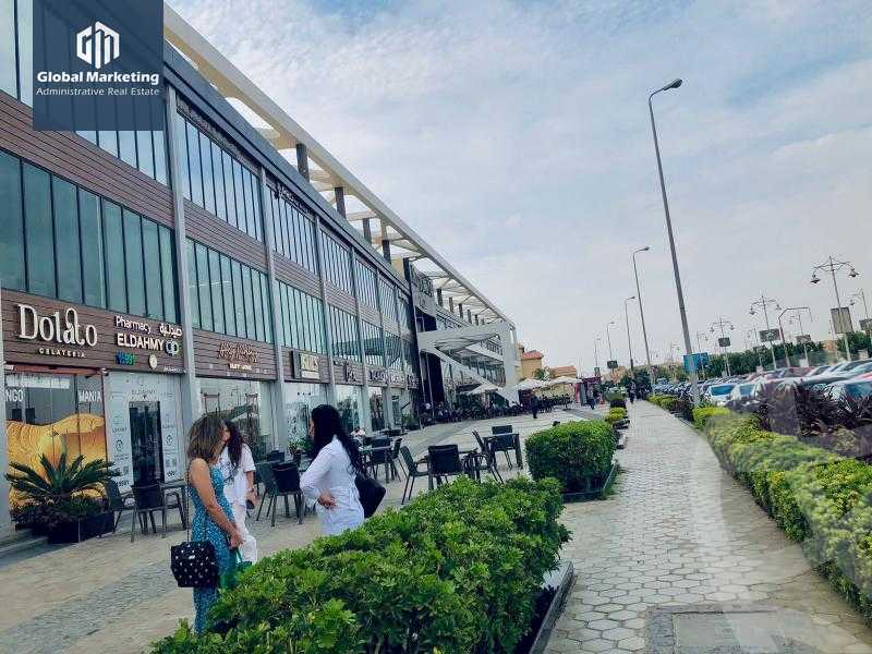 https://aqarmap.com.eg/en/listing/5417451-for-rent-cairo-new-cairo-90th-street-south-teseen-st