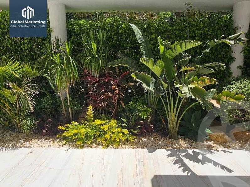 https://aqarmap.com.eg/en/listing/5662276-for-rent-cairo-new-cairo-compounds-lakeview-residence