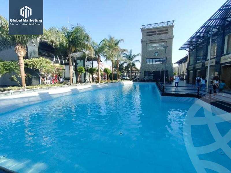 https://aqarmap.com.eg/en/listing/5813871-for-rent-cairo-new-cairo-dwn-twn