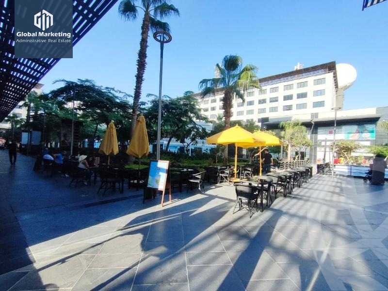 https://aqarmap.com.eg/en/listing/5813871-for-rent-cairo-new-cairo-dwn-twn
