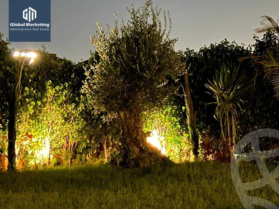 https://aqarmap.com.eg/en/listing/5855178-for-rent-cairo-new-cairo-compounds-mivida-mivida-parcel