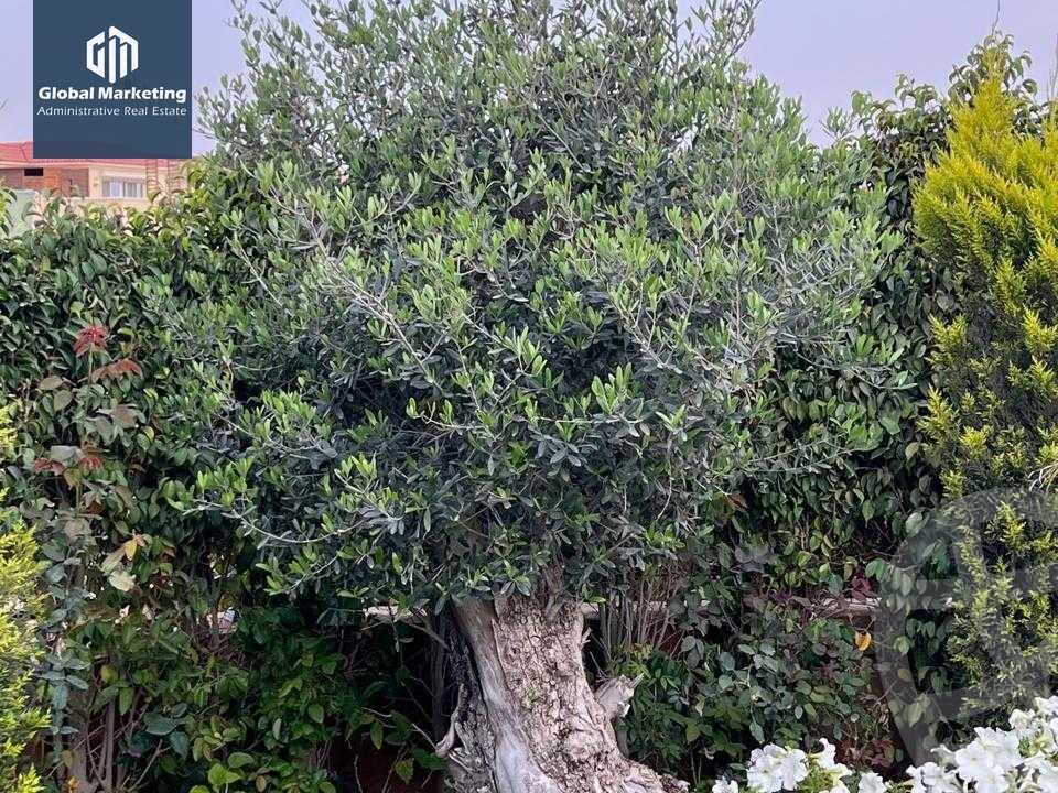https://aqarmap.com.eg/en/listing/5855178-for-rent-cairo-new-cairo-compounds-mivida-mivida-parcel