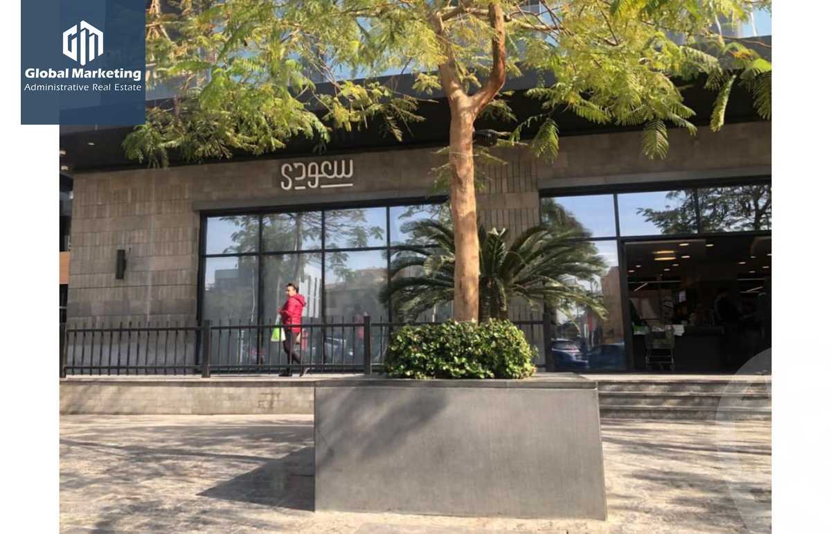 https://aqarmap.com.eg/en/listing/6015161-for-rent-cairo-new-cairo-mohammed-nagib-axis-st