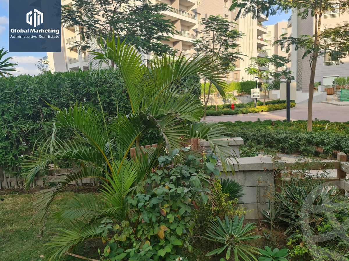 https://aqarmap.com.eg/en/listing/6028192-for-rent-cairo-new-cairo-compounds-cairo-festival-city