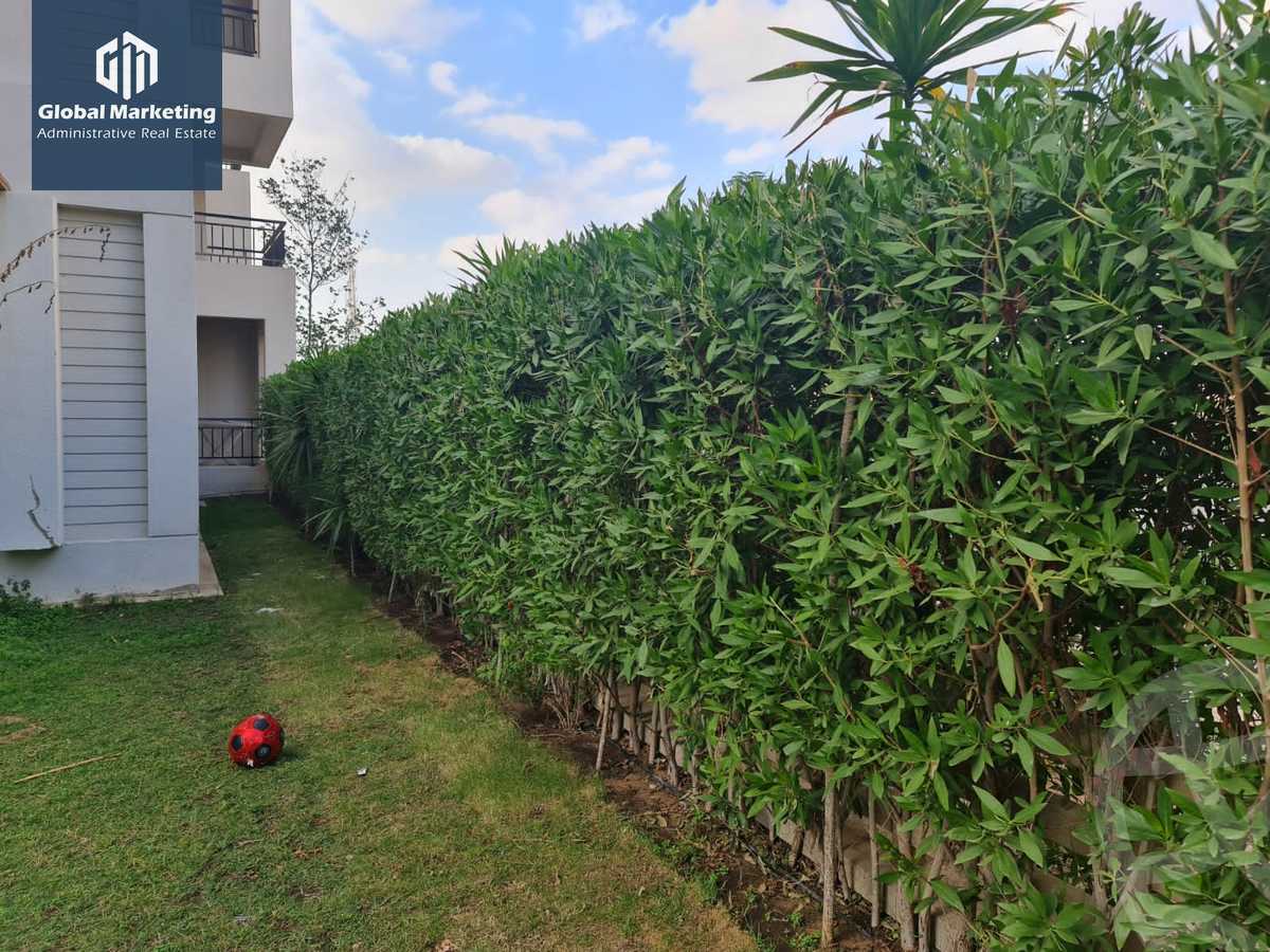 https://aqarmap.com.eg/en/listing/6045170-for-rent-cairo-new-cairo-compounds-cairo-festival-city